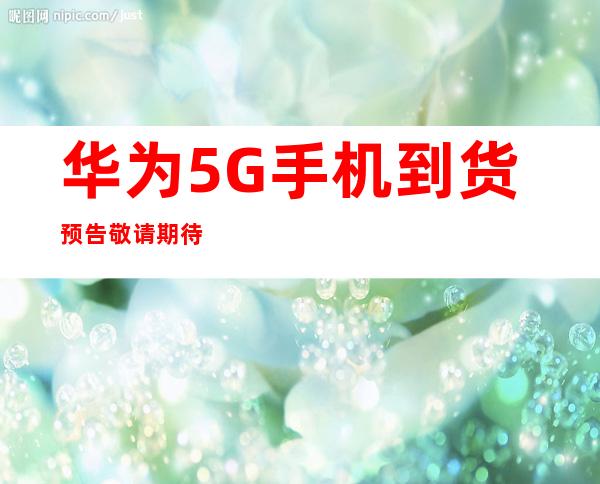 传承红色血脉，筑牢Weilink长城